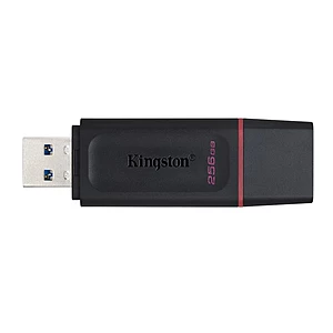KINGSTON DTX 256GB