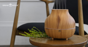 SERENE HOUSE 191201007