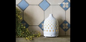 SERENE HOUSE 161201020