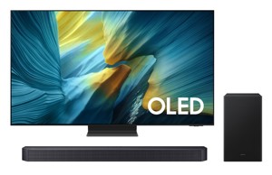SAMSUNG QE65S95F+HW-Q600F