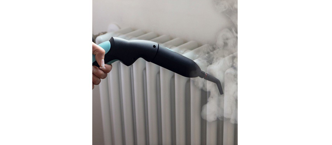 Višenamjenski parni čistač slika