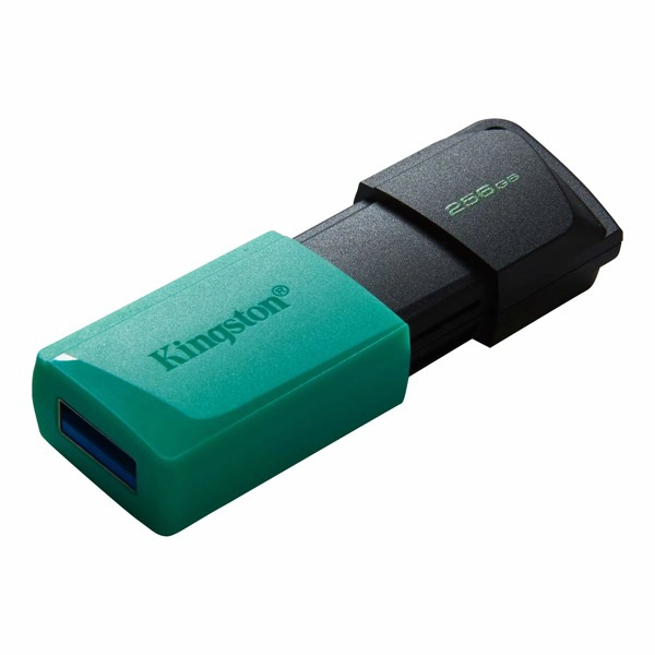 KINGSTON DTXM 256GB
