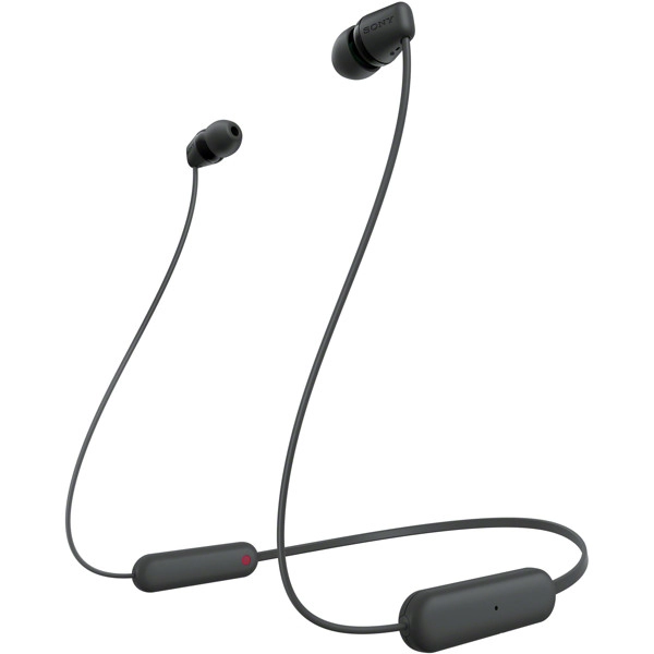 SONY WIC100B.CE7
