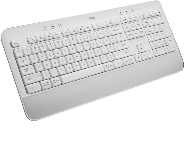 LOGITECH 920-010977