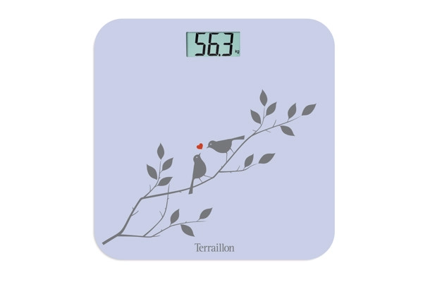 TERRAILLON           15276