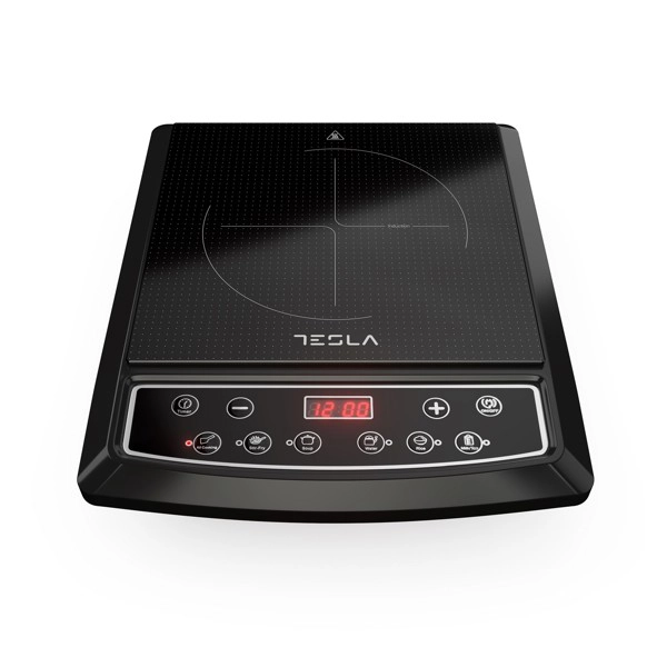 TESLA IC200B