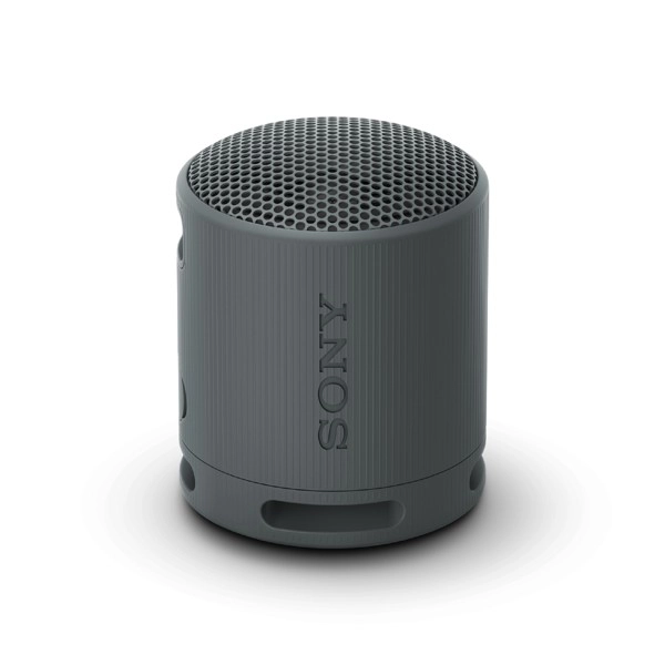 SONY SRSXB100B.CE7