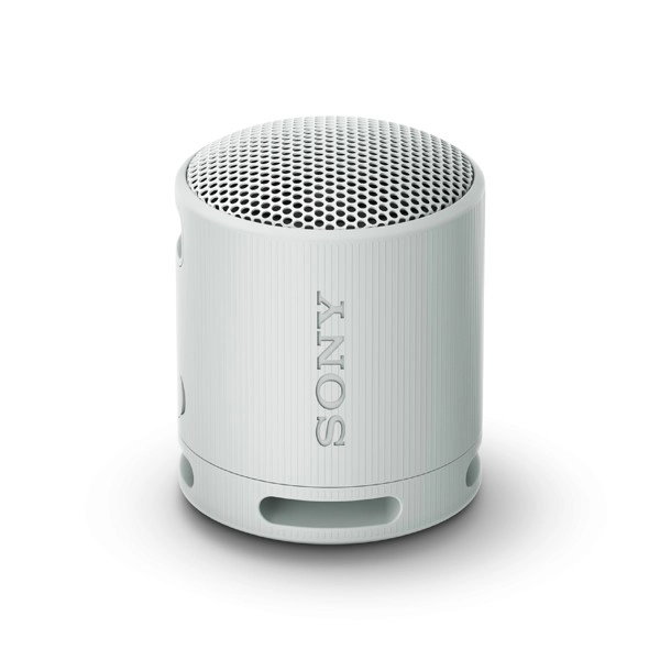 SONY SRSXB100H.CE7