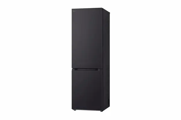 LG GBV3100EEP