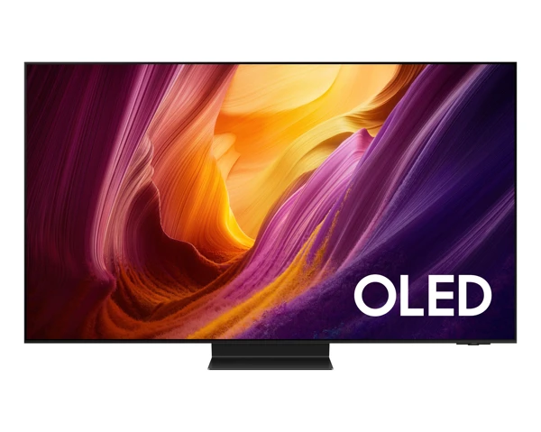 SAMSUNG QE48S95HAEXXH