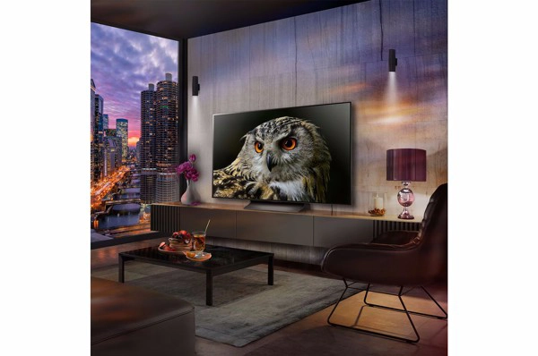 OLED evo,139cm,4K HDR,WebOS,MagicRemote - slika A