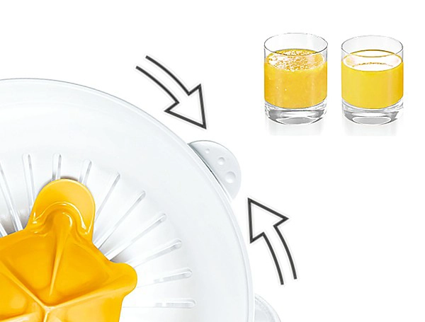Citruseta - slika B