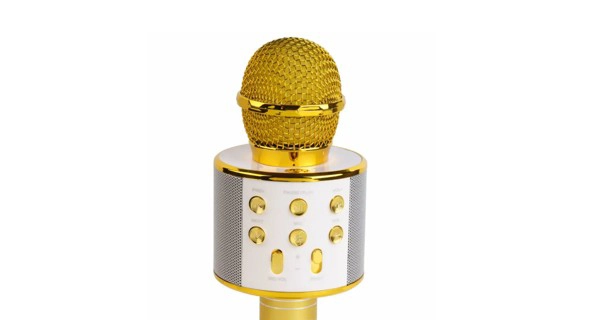 Bluetooth Karaoke zvučnik/mikrofon - slika B