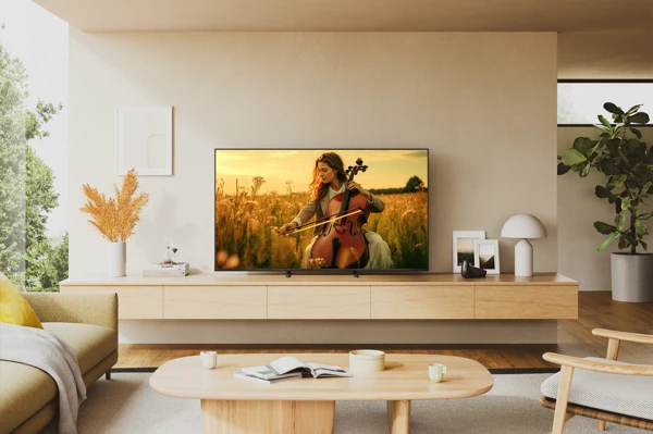 MiniLED TV, 164cm,4K UHD, 120Hz, Google - slika D